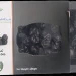 WhatsApp Image 2025-09-30 at 22.43.22_b1cbcc8d