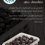 WhatsApp Image 2025-10-01 at 00.41.35_0991e07e